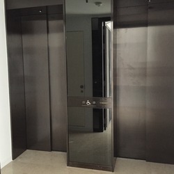 Thomson Grand (D20), Condominium #168505842
